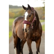 LeMieux Breakaway Vogue Headcollar & Leadrope LeMieux Breakaway Vogue Headcollar & Leadrope