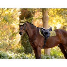 LeMieux Loire Classic Close Contact Square LeMieux Loire Classic Close Contact Square