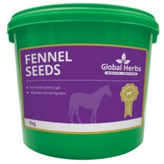 Global Herbs Fennel 1kg