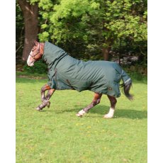 PERF EQUINE 200G COMBO DARK GREEN PERF EQUINE 200G COMBO DARK GREEN