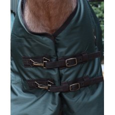 PERF EQUINE 200G STANDARD DARK GREEN PERF EQUINE 200G STANDARD DARK GREEN