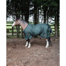 PERF EQUINE 200G STANDARD DARK GREEN PERF EQUINE 200G STANDARD DARK GREEN