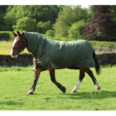 PERF EQUINE 100 COMBO OLIVE