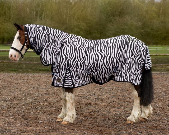 Gallop Gallop Zebra Combo Fly Rug x Surcingle