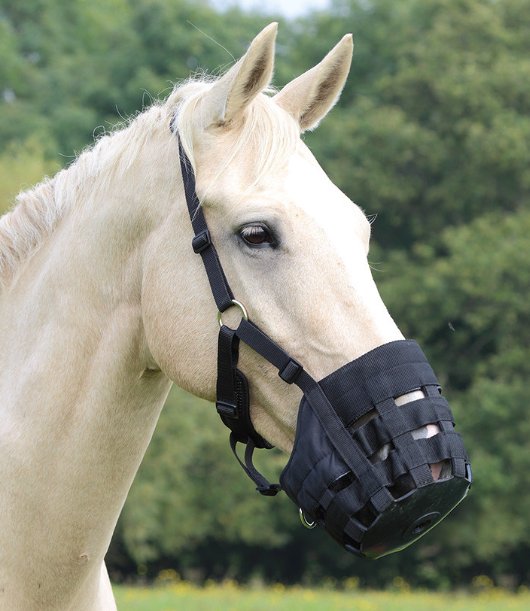 Shires Equestrian Shires Comfort Grazing Muzzle