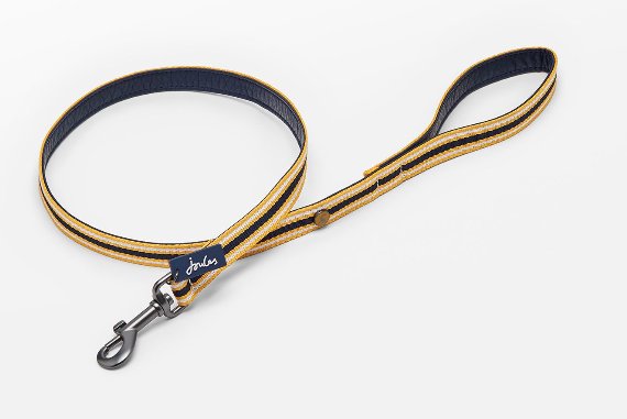 JOULES STRIPED DOG LEAD