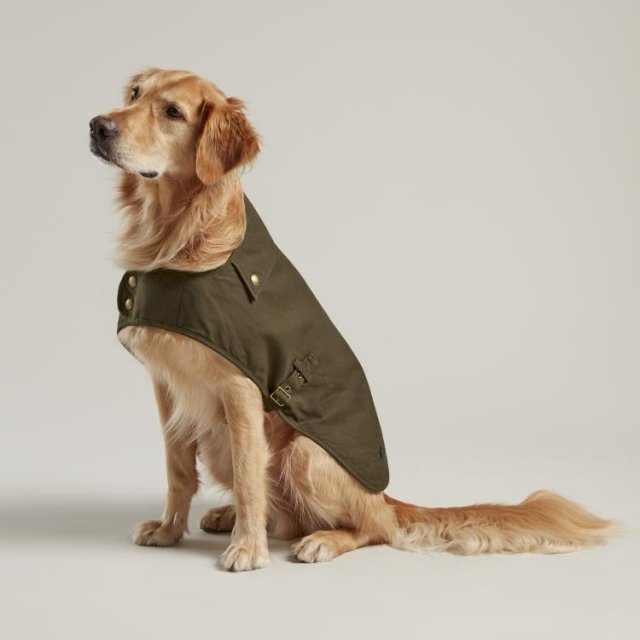 Joules Wax Dog Coat