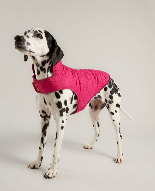 Joules JOULES QUILTED DOG COAT