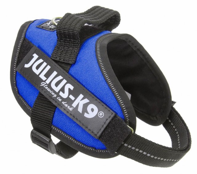 Julius k9 fitting guide clearance