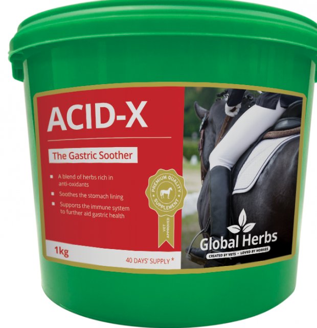 Global Herbs GLOBAL HERBS ACID-X     1KG