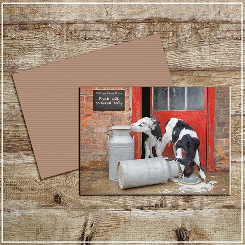 Kitchy & Co  KITCHY & CO GREETINGS CARD DOUBLE TROUBLE