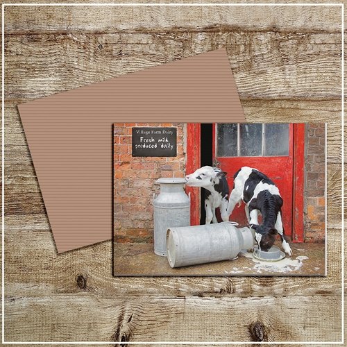 Kitchy & Co  Kitchy & Co Greetings Card Double Trouble