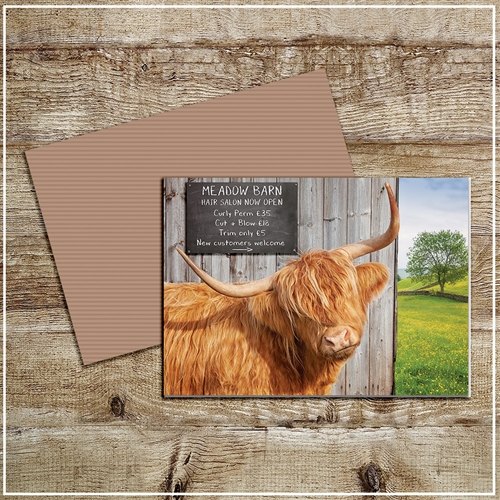 Kitchy & Co  Kitchy & Co Greetings Card Meadow Barn