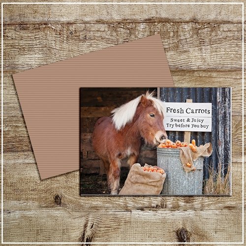 Kitchy & Co  KITCHY & CO GREETINGS CARD CRUNCHY CARROTS