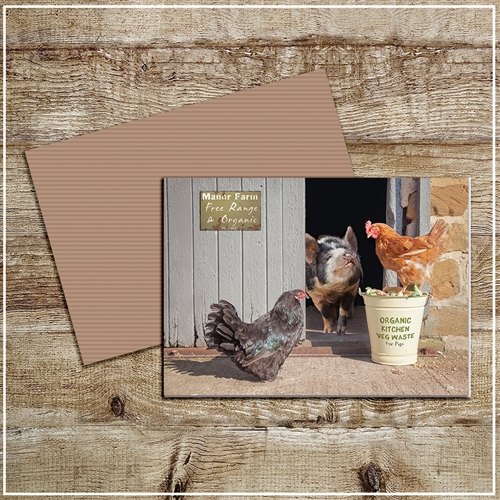 Kitchy & Co  Kitchy & Co Greetings Card Manour Farm