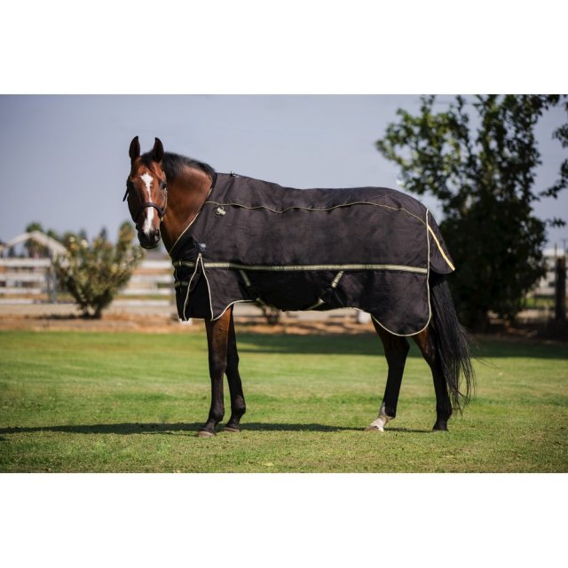 Noble Outfitters Noble 4 In 1 Turnout Rug