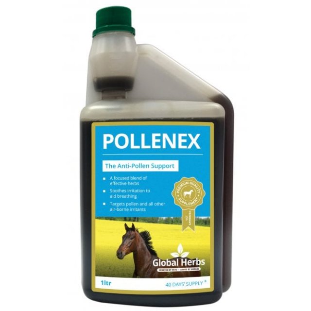 Global Herbs Global Herbs Pollenex Syrup 1l