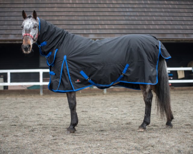 Equestrian King 350 Combo Turnout Rug