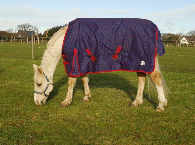 Rhinegold Spot Torrent Turnout Rug No Fill Light Weight