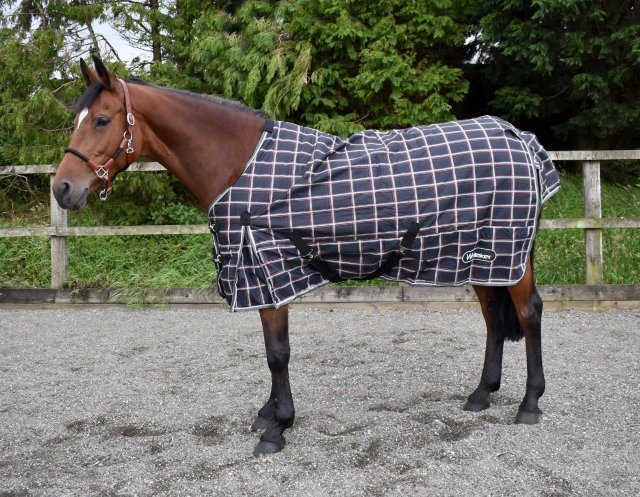 John Whitaker John Whitaker Darwen 200g Med Turnout Rug Standard Neck