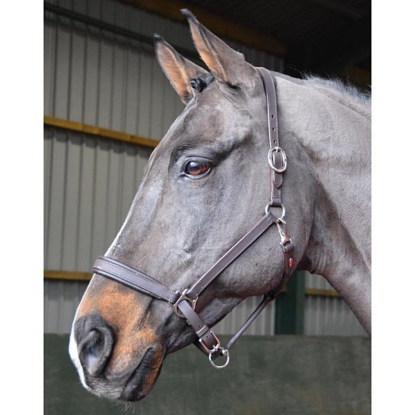 John Whitaker John Whitaker Ready To Ride Leather Headcollar