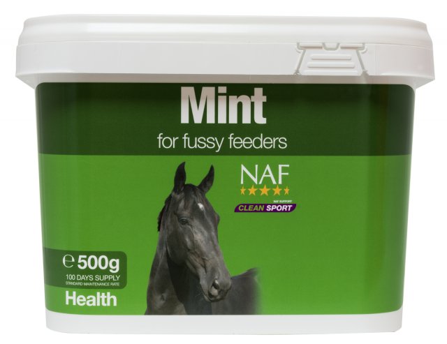 NAF NAF Mint 500g