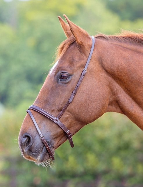 Shires Equestrian Shires Blenheim/velociti Flash Noseband