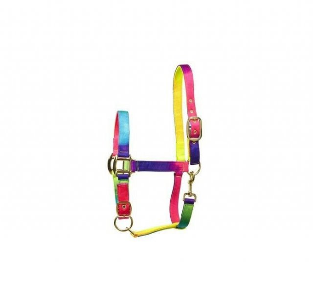 Elico Elico Matterdale Rainbow Headcollar