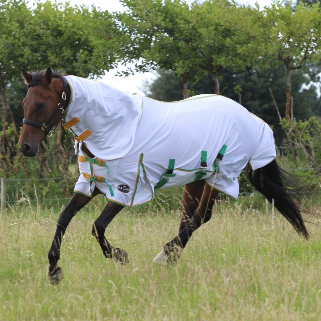 Gallop Gallop Combo Fly Rug Green Binding