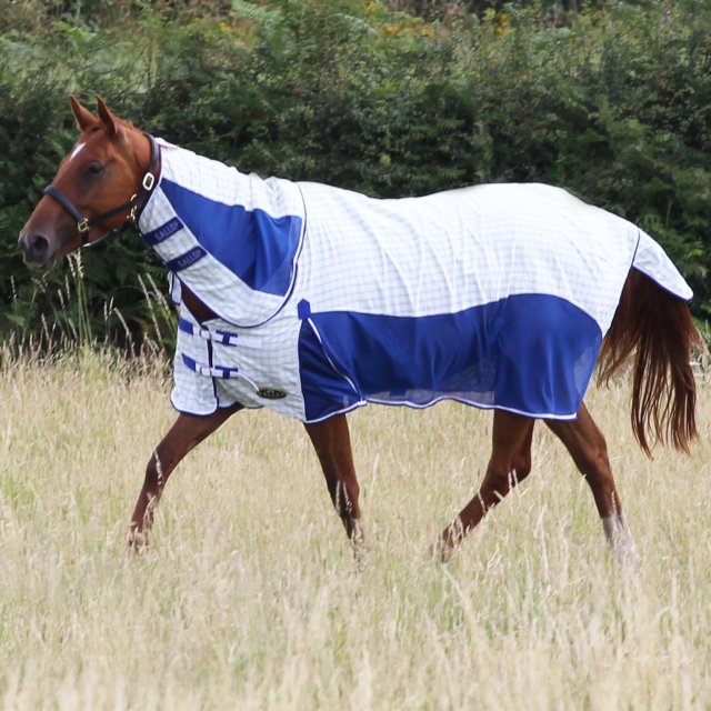 Gallop Gallop Air-mesh Summer Sheet