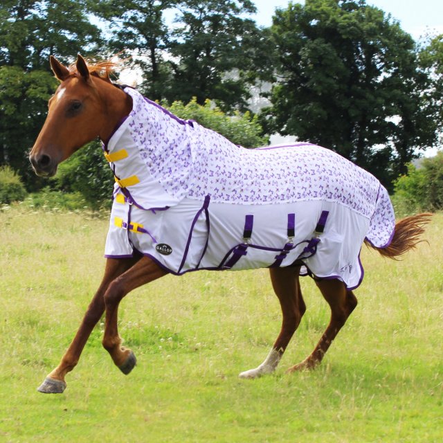 Gallop Gallop Bees & Butterflies Combo Fly Rug