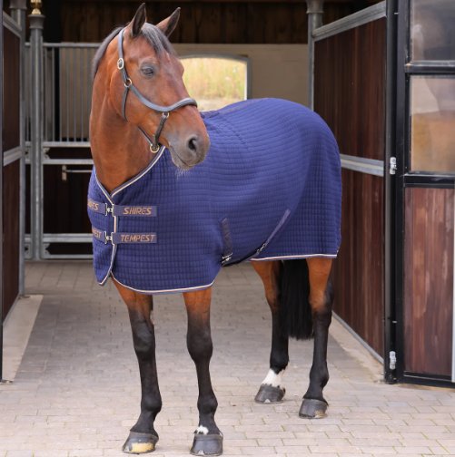 Shires Equestrian Shires Tempest Original Tech Cooler Rug