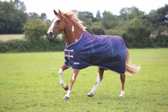 Shires Equestrian Shires Tempest Original Lite Turnout Rug Purple Lightening