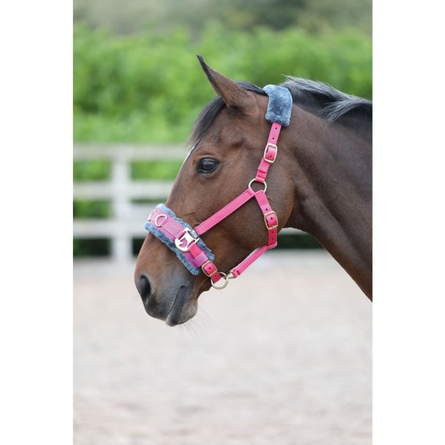 Shires Equestrian SHIRES FLEECE LINED LUNGE CAVESSON