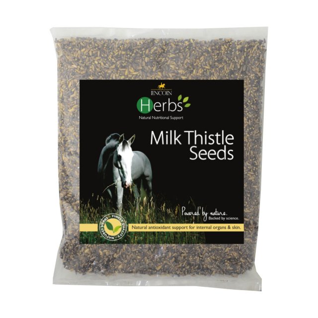 Lincoln LINCOLN HERBS MILK THISTLE SEEDS 1KG