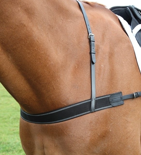 Shires Equestrian Shires Elastic Breastgirth