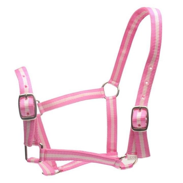 Roma Roma Headcollar & Lead Set