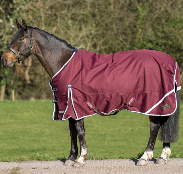 Gallop Gallop Trojan Xtra Lightweight Turnout