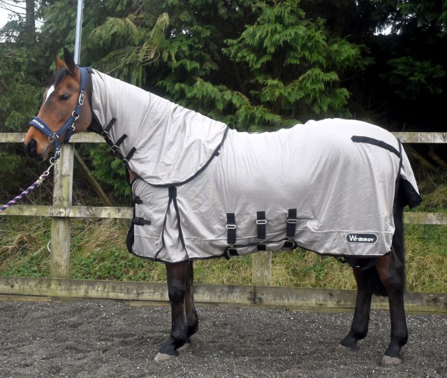 John Whitaker Whitaker Walworth Combo Fly  Rug