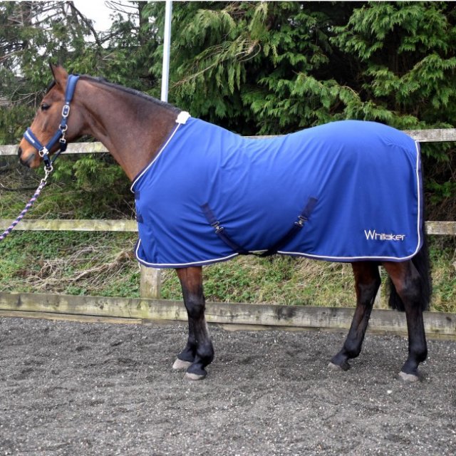 John Whitaker Whitaker Rydal Show Rug