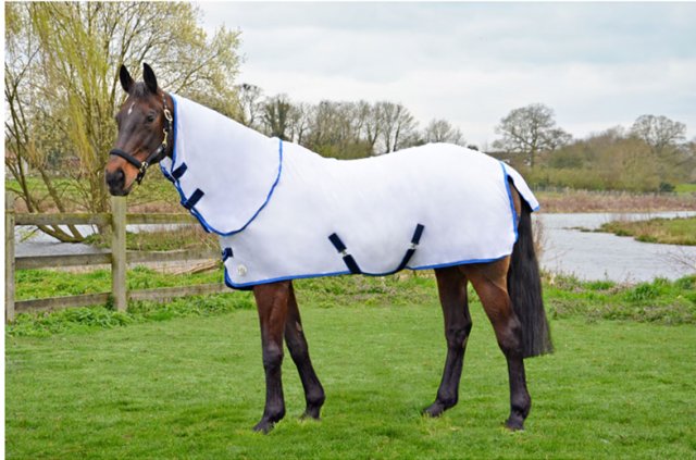 Hyland HY GUARD SIGNATURE COMBO  FLY RUG