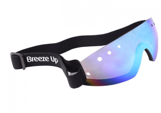 Celtic Equine Celtic Equine Breeze Up  Goggles