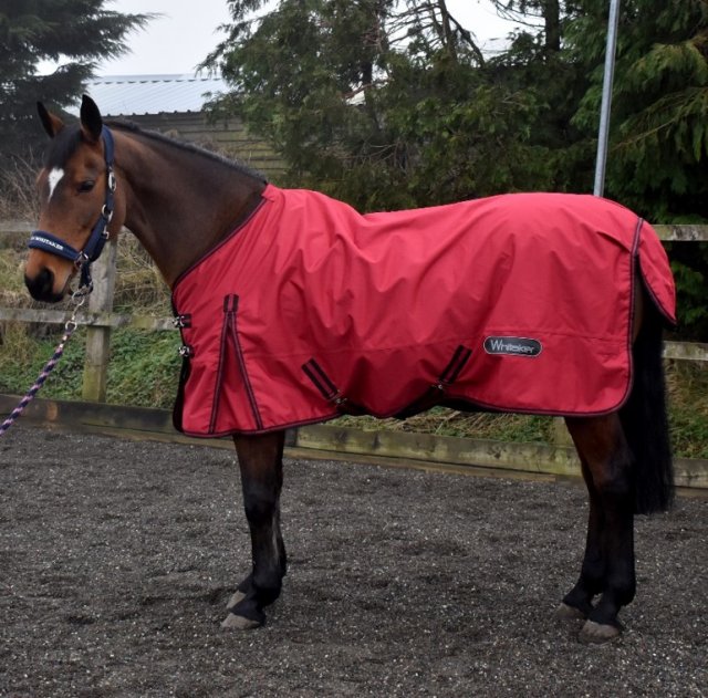 John Whitaker Whitaker Tanfield 50g Turnout Rug