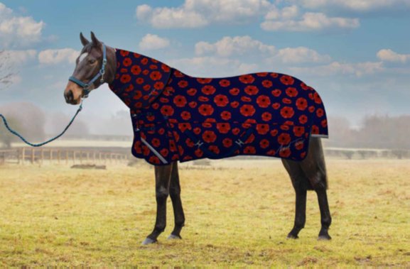 Mark Todd Mark Todd Poppy Appeal Rug Horse Size 250g