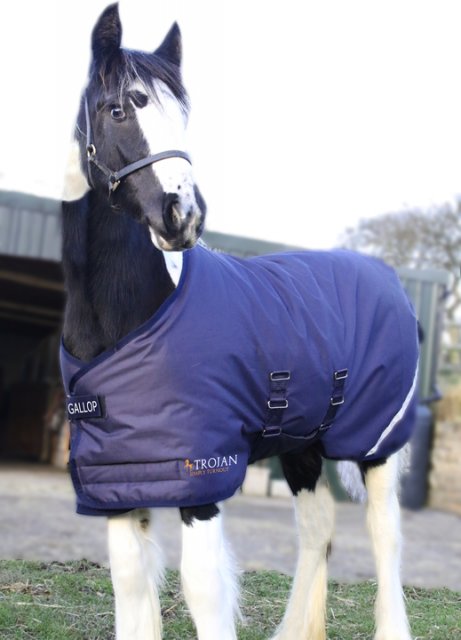 Gallop Gallop 200 Flexi-foal Turnout Rug