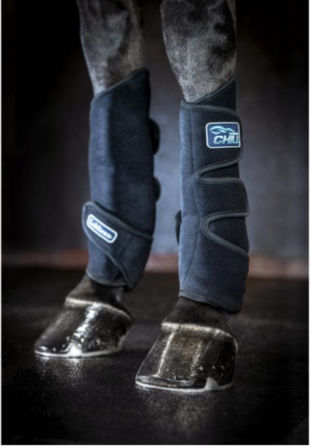 LeMieux LeMieux Tendon Chill Boots