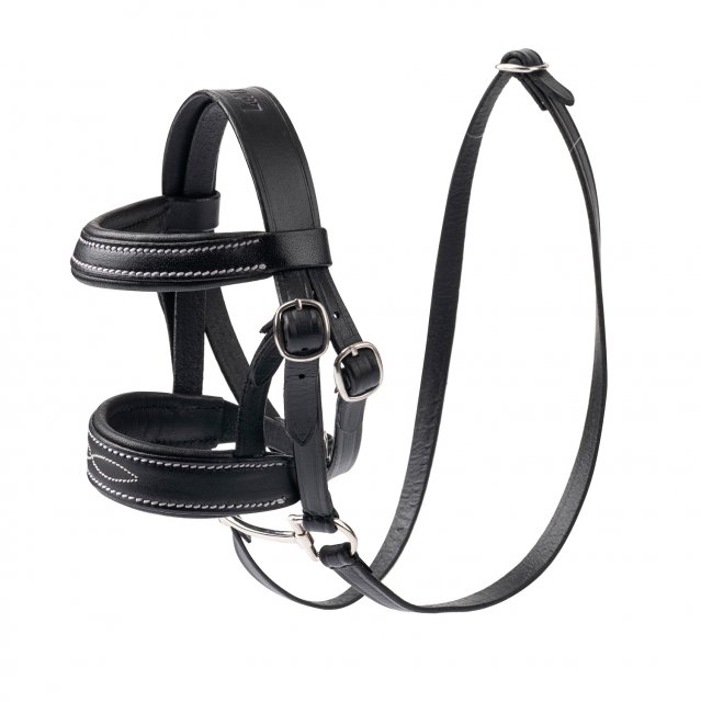 LeMieux Mini LeMieux Pony Bridle