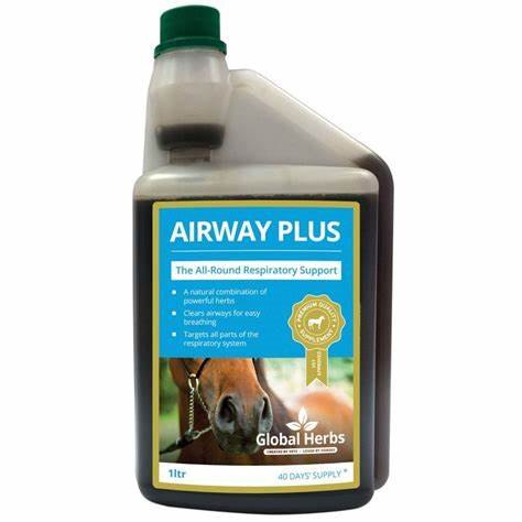 Global Herbs Global Herbs Airways Plus Liquid 1l