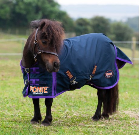 Gallop Gallop Ponie Lightweight Turnout Rug