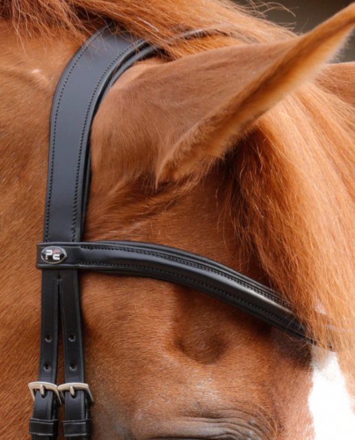Cavesson noseband - white padded plain black leather – Cathedral Equine